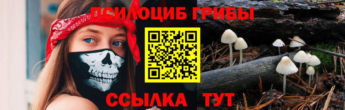 Галлюциногенные грибы Magic Shrooms  Галлюциногенные грибы мицелий  Вход с VPN  Анапа 